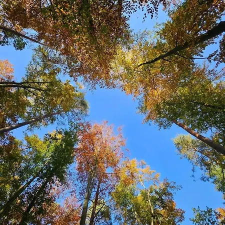 Im Mueritz Apartment Rechlin